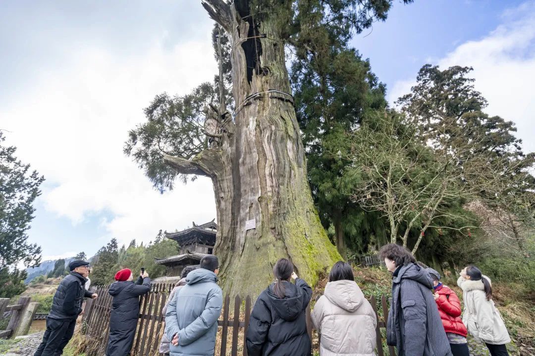 我和我的祖国|国际著名钢琴家孔祥东来景，感受畲乡山水、人文情怀