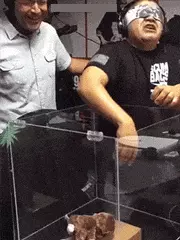 搞笑GIF:骚年,这是你想要的小姐姐吗? GIF动图 第8张-福利吧