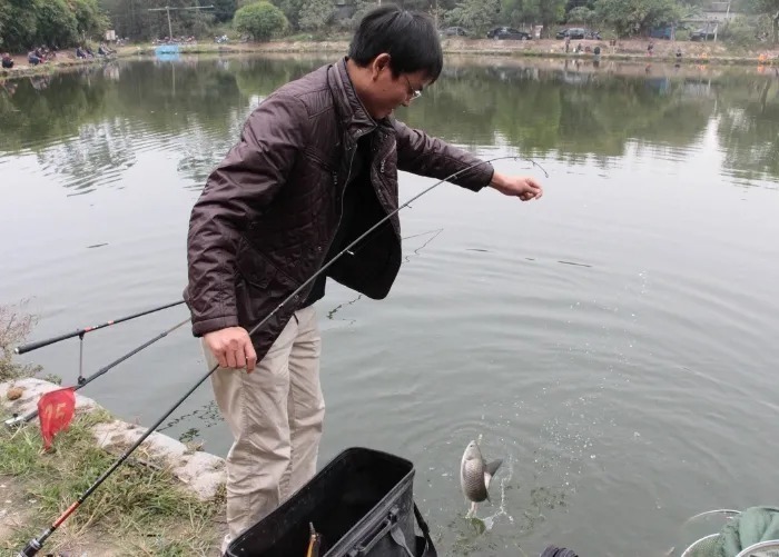 老司机|难怪老司机一个字不说,原来冬天只要有这钓法,板鲫接二连三的上