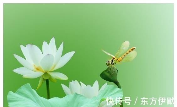 业务能力|7月份开始，吉星照耀，五大属相横财不断，桃花朵朵，生活喜洋洋