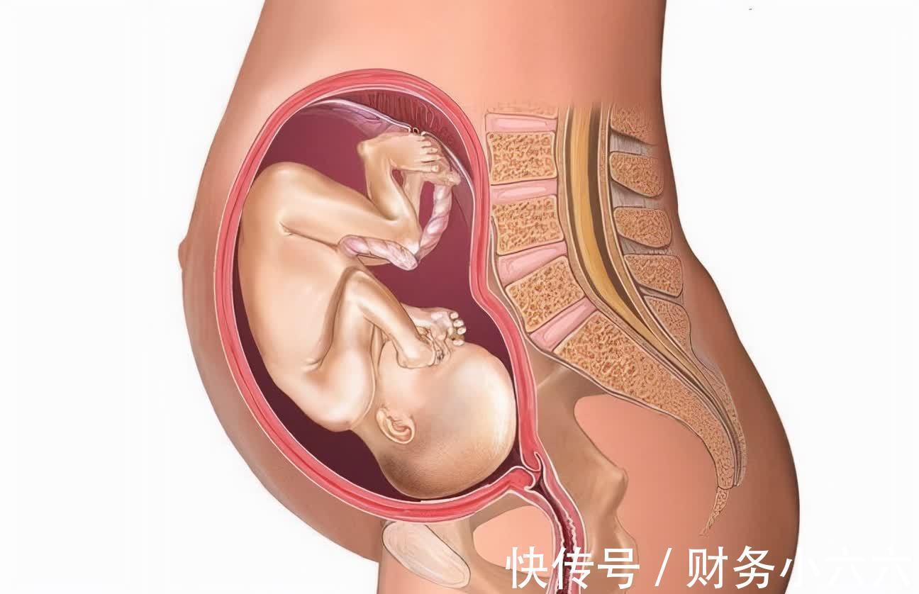 疼痛|人类分娩究竟有多痛?为什么动物分娩那么轻松,人类却痛不欲生?