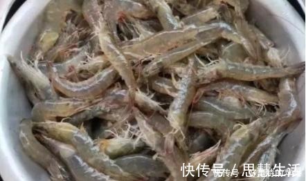 冰箱|大虾保鲜,直接放冰箱大错特错,教你1招,长久保存,吃着新鲜