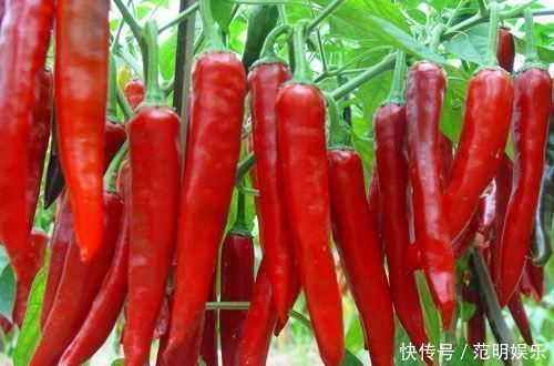 中老年人|前列腺增生要管好嘴,5种容易加重增生的食物,宁愿挨饿也别碰