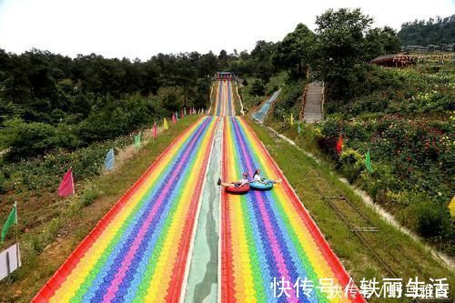 秋千|住树屋、观云海、挑战崖壁秋千…… 五华山网红耍事多