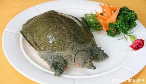 陈女士|8岁女孩突然厌学,原因竟是太过“丰满”,儿童性早熟家长需注意