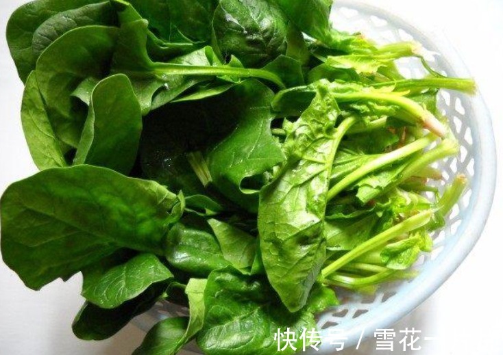 菠菜|6月是孩子长高“黄金期”,家里必备的食材,孩子发育长个更聪明