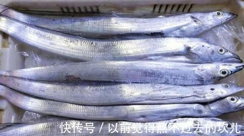 肉质|买带鱼时,别光看大小,学会3买3不买,轻松挑到优质好带鱼