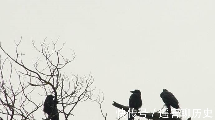 文人$骂人最狠的元曲,别出心裁,成为文人雅骂的最高境界