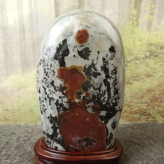 艳丽|天然奇石,逼真的形象,艳丽的色泽,让人对大自然之作感叹一番