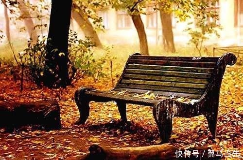 落叶几多悲,缘浅人情薄;多少凄凉意,且与秋风说