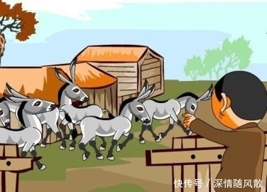 成语|汉语成语骑驴找驴，每个人都发生过，说说你有哪些骑驴找驴经历?
