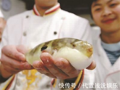 鱼肉|请停止吃这5种鱼，是重金属和寄生虫“携带者”，为了健康管住嘴