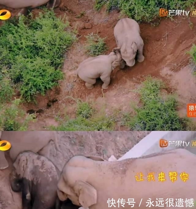 朱晓磊|王一博《街舞4》挑染发色回来了,演唱《青春的模样》又正又奶