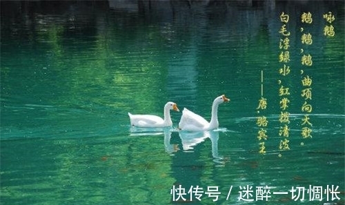 国家级!高手模仿《咏鹅》写《咏鸡》,获国家级文学奖,大家觉得水平如何