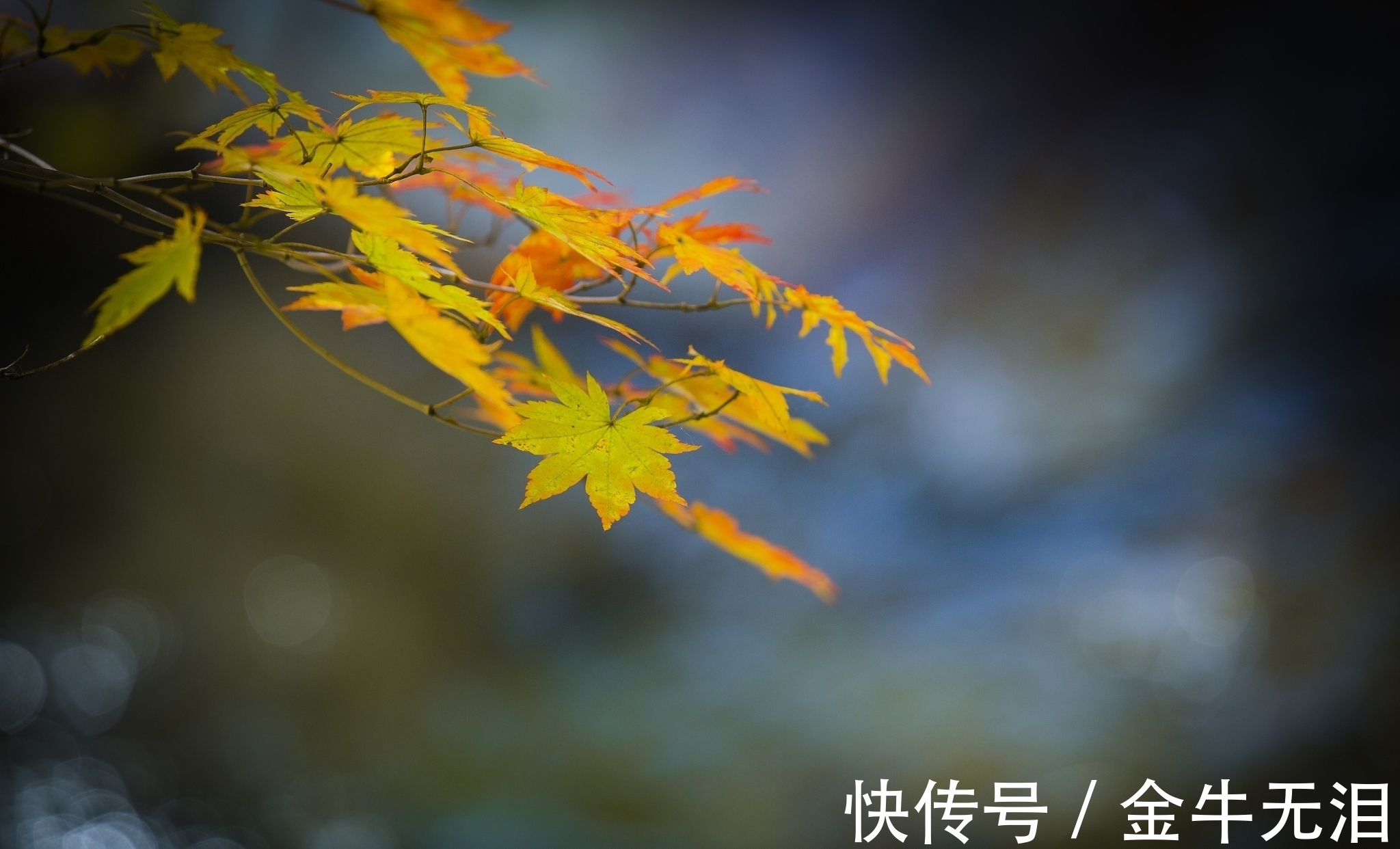 杜牧@一首很独特的唐诗,属于杜牧诗中的精品,读过的人并不多