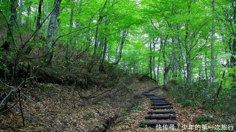 从不老不死温泉，到梦幻般的地狱沼泽，青森这些景点让人值得一去