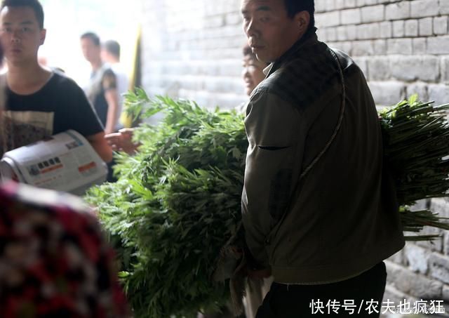 荆楚岁时记|“端午到，忙割艾”，割艾草讲究“前三后四”，是什么意思?