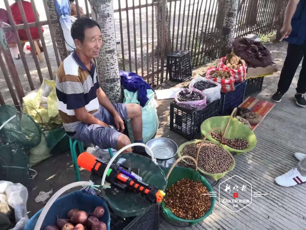 依托绿水青山，阿城乡亲吃上了生态饭|鲜花盛开的村庄 | 游人