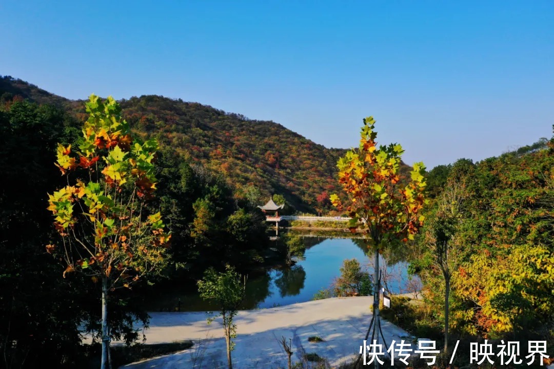 桃花寨景区|免票！持续一个月！秋叶落满山，遇见最美的桃花寨