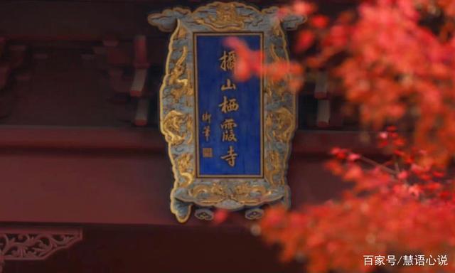 花开花落,皆是生活