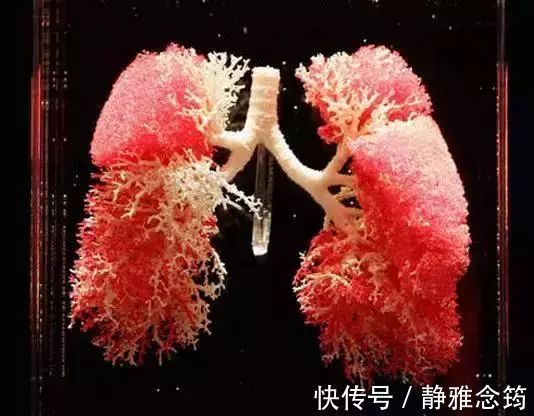 戒烟|肺不好,鼻先知,远离“3个字”,做好5件事,肺会一天比一天强壮