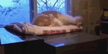 |搞笑GIF：女生喝多了什么都做的出来，她最后那几下是什么意思？