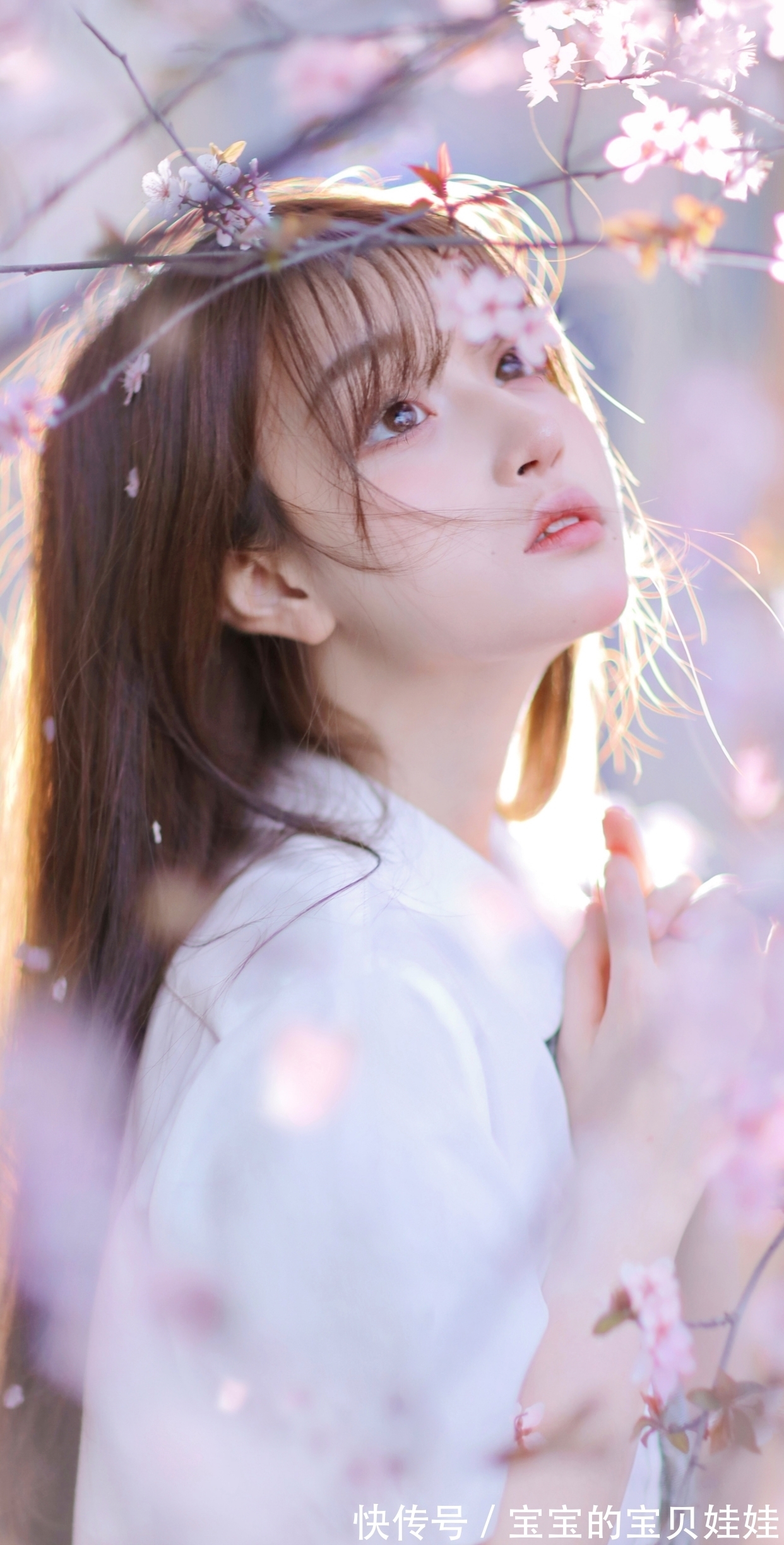 手机壁纸分享——明星美女系列:新年换个新壁纸吧