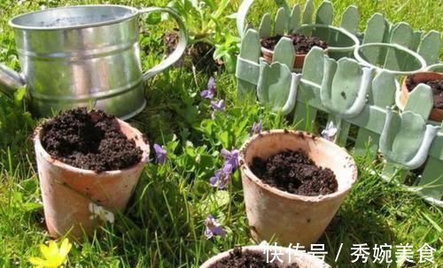 养花还在买花盆学会一招，再不用多花一分钱，一捡一大堆