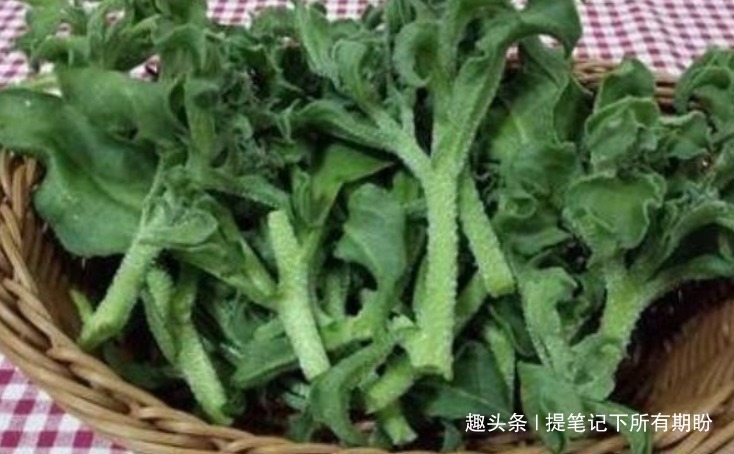 美容养颜|想长寿先排毒,要坚持吃以下食物,美容养颜、滋润身体!