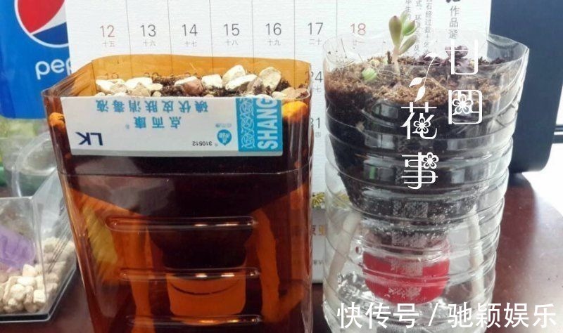 角磨机|7种“废料”做花盆,不花一分钱,花盆用不完,比买的还精致