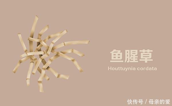 肺不好,经常吃点养肺菜,多喝2种水,肺或能日渐变好