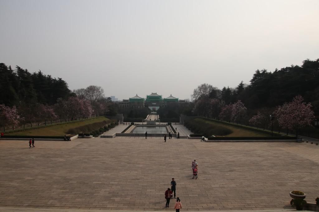 老年|南京连日春暖 雨花台宝华玉兰绽放