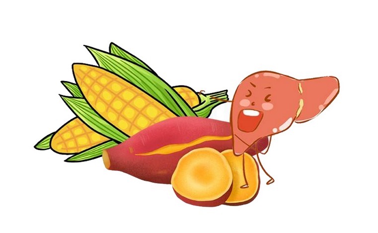 胃部|胃病的人多个心,饮食上吃这3种食物,更易吸收,强身建胃