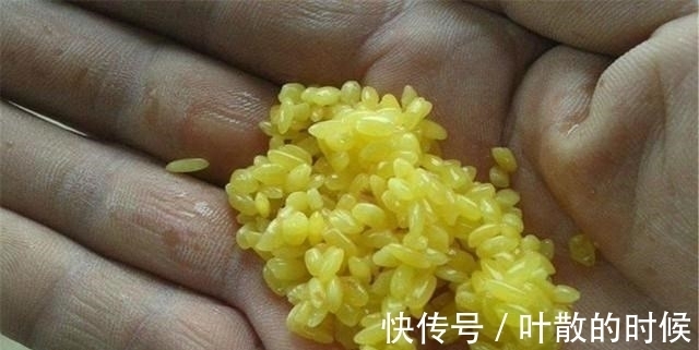 初冬野钓大鲫鱼,聚鱼留鱼很关键,把握好这2点,“爆护”并不难