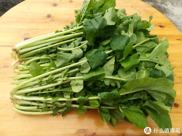 这菜不花钱，营养极高，很多人当垃圾扔，晒干了炖肉特香，别浪费
