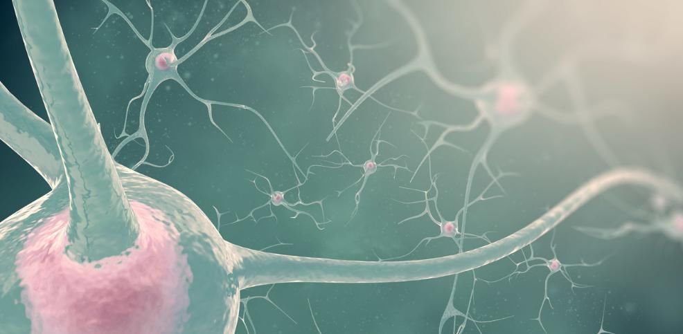 怎样做才算科学养生?百岁长寿老人给出的4个建议,让你受益匪浅