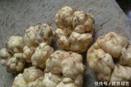 女人|女性皮肤不好,多吃这3样食物,让皮肤细嫩有光泽!