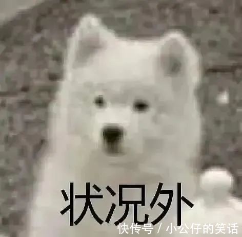 阴间|“千万!不要!随便在淘宝乱搜索啊!”哈哈哈沙雕卖家想笑死我……