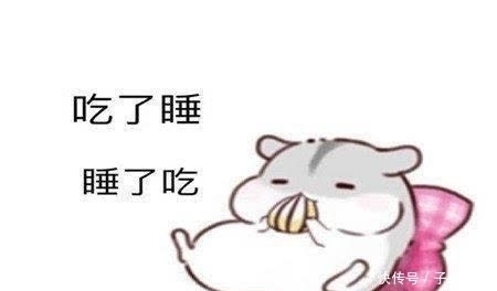 |幽默笑话:表嫂要把她妹子介绍给我,我一听就屁颠屁颠的去了