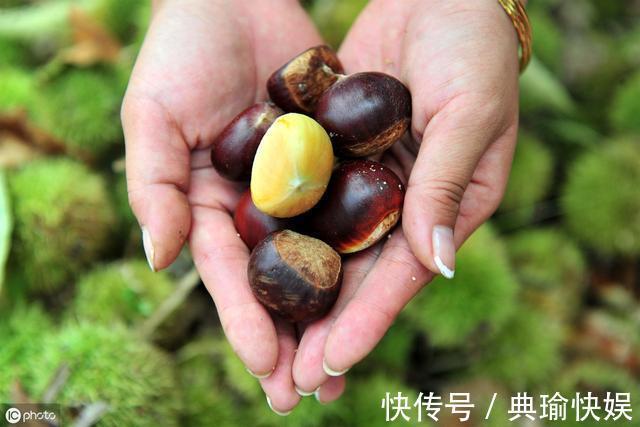 做法|板栗不好剥,多加1步,2秒剥一个板栗,做法简单,喜欢收藏