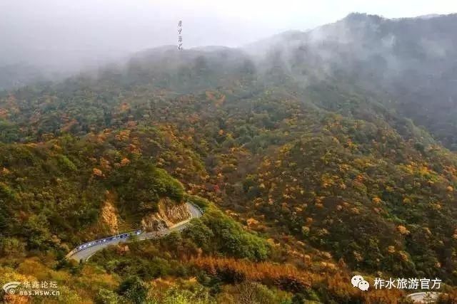 低薪|春花秋月、夏蝉冬雪，与你一起看遍柞水的春夏秋冬