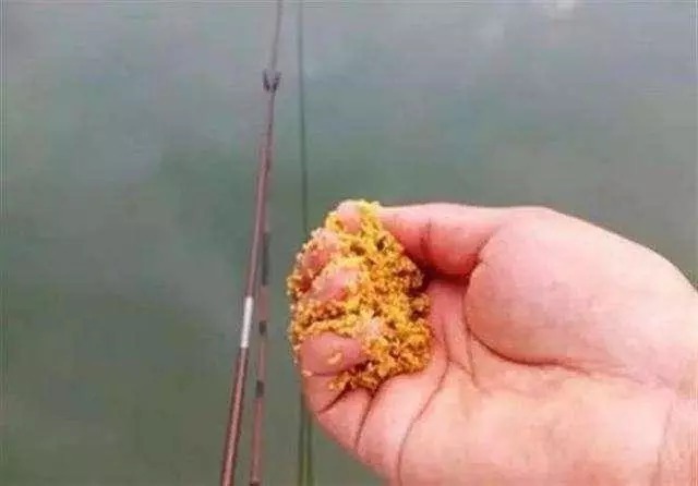 野钓连竿不已突然停口,别以为都是大鱼进窝了,还有这几种情况