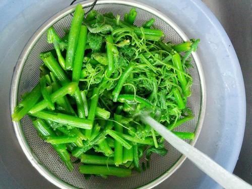 南瓜藤|这种瓜的叶子是个宝，降压、戒烟、打结石，可惜知道的人太少了