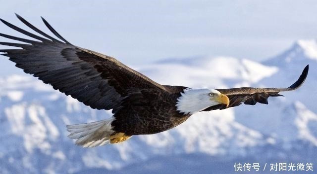 思维#真正内心强大的人,大多拥有这三种顶尖思维!