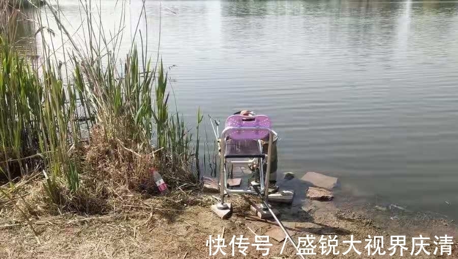 套路|气温高,大板鲫就难钓了?立马换用这套路,接连上鱼忙不过来