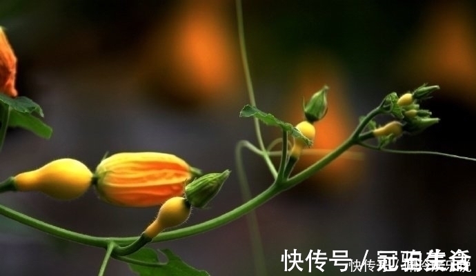 效忠!鬼谷子识人术一个人有没有出息,看这三点就够了