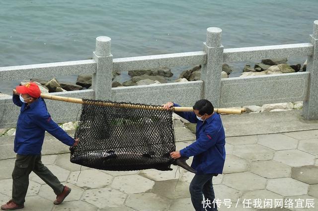 因为长线多钩垂钓违规!几千元的路亚装备!被迫闲置!