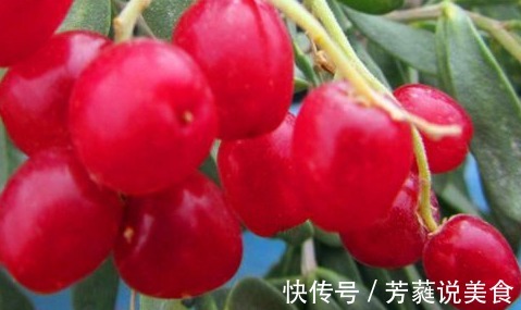 子宫|冬天到了,适合女性常吃的食物,促进血液循环,滋养子宫