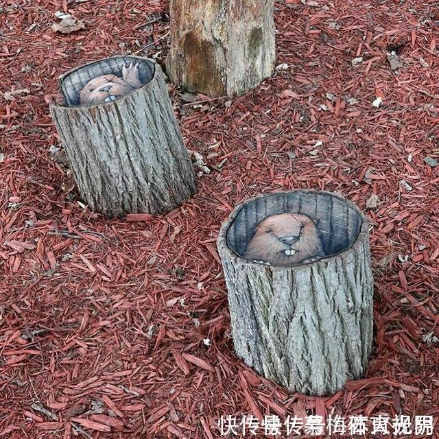 密歇根州!他用粉笔在街边“乱涂乱画”,吸引了百万粉丝,网友:能多来点吗