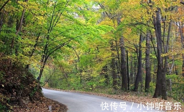 宝藏地|吉林旅游宝藏地，两个风格迥异的红叶谷，你更喜欢哪一个